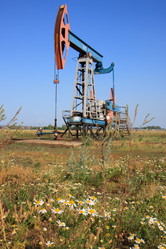 Similar image 557889