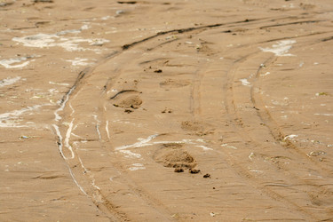 Similar image 557890