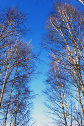 Similar image 557900