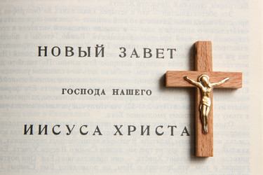 Similar image 557965