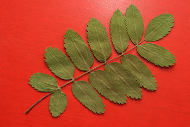 Similar image 557971