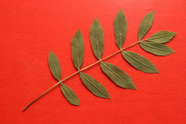 Similar image 557973