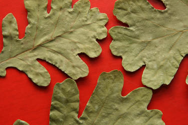 Similar image 557975