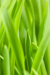 Similar image 558055