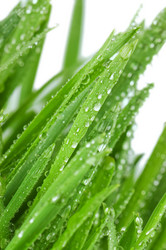 Similar image 558056