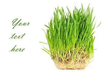 Similar image 558058