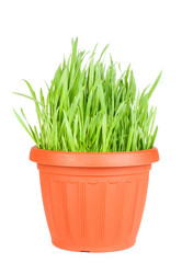 Similar image 558059