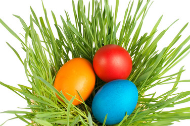 Similar image 558063