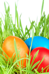 Similar image 558064