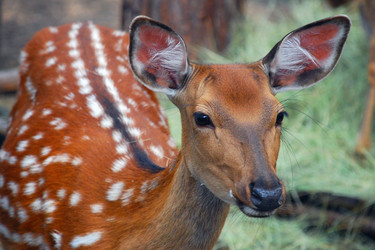 Similar image 558145