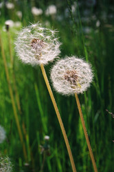 Similar image 558152