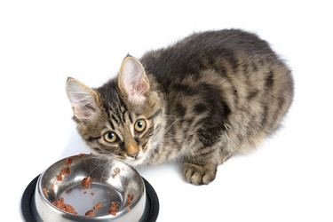 Similar image 558155