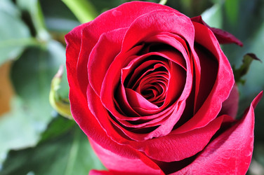 Similar image 558159