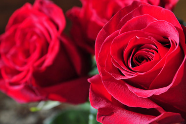 Similar image 558163