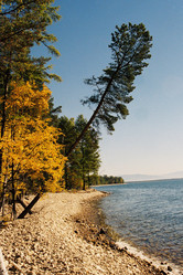 Similar image 558170