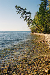 Similar image 558172