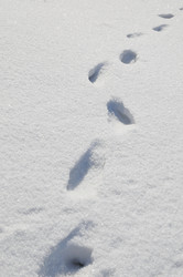 Similar image 558230