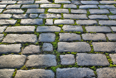 Similar image 558257