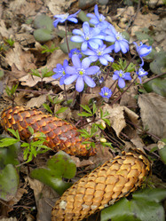 Similar image 558262