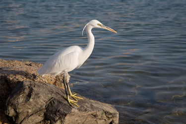 Similar image 558316