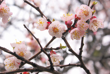 Similar image 558317