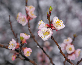 Similar image 558318