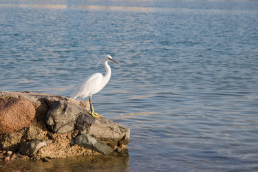 Similar image 558319