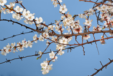 Similar image 558325