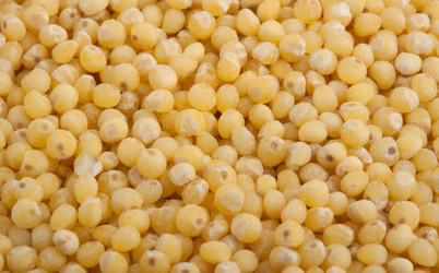 Similar image 558343