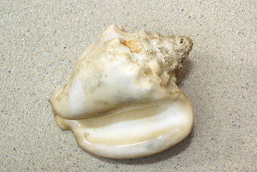 Similar image 558423