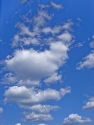 Similar image 558424