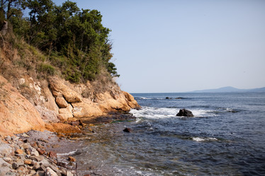 Similar image 558431