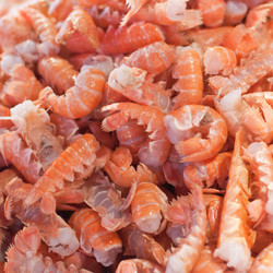 Similar image 558434