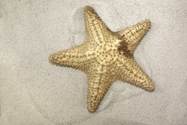 Similar image 558435