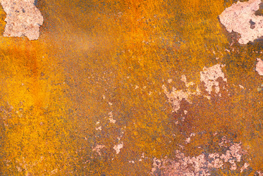 Similar image 558437