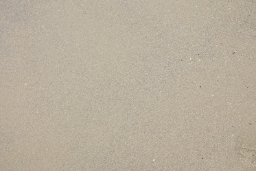 Similar image 558443