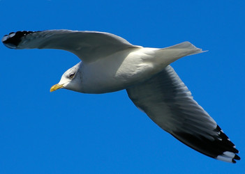 Similar image 558453