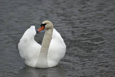 Similar image 558463