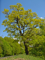 Similar image 558471