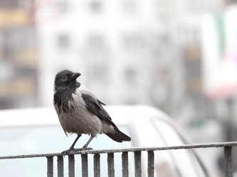 Similar image 558543