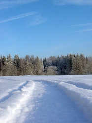 Similar image 558674