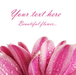 Similar image 558701