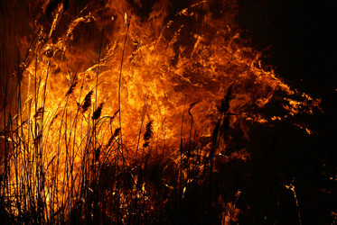 Similar image 558718