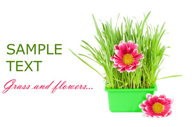 Similar image 558732