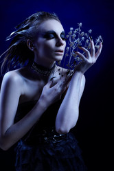 Similar image 558872