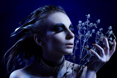 Similar image 558875