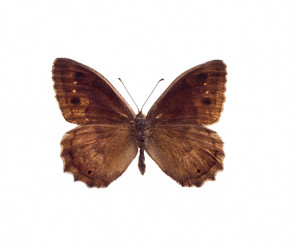 Similar image 558889