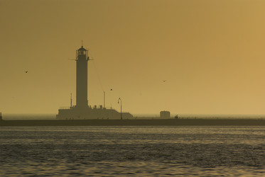 Similar image 559131