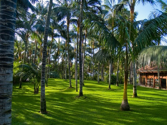 Similar image 559140