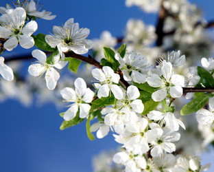 Similar image 559169